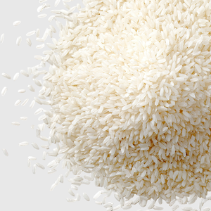 Rice Protein