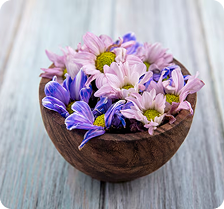 Allantoin & Sodium PCA