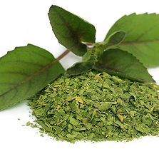 Holy Basil Extracts
