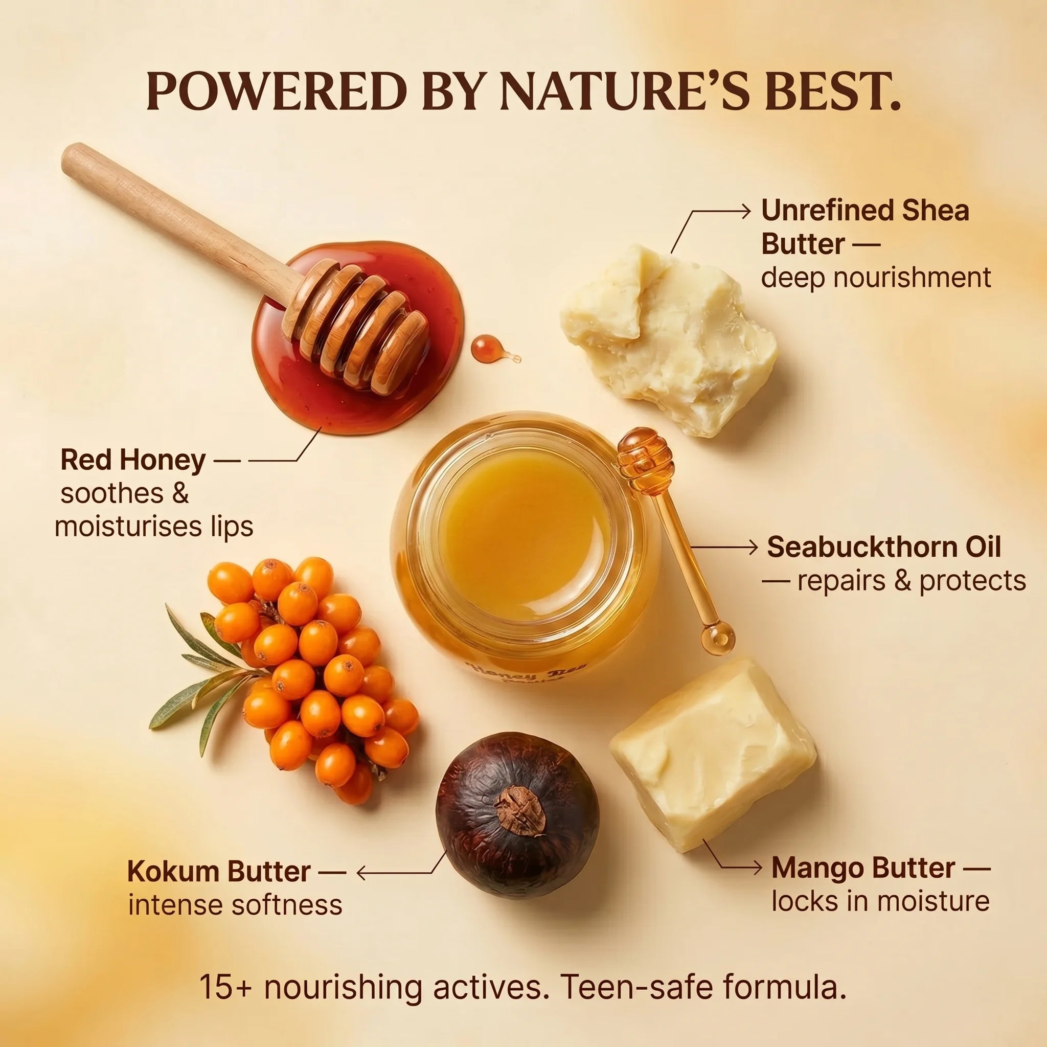 Honey Bee Lip Balm
