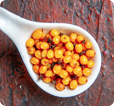 Seabuckthorn Oil