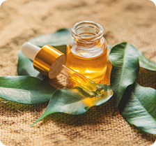 Tea Tree Oil